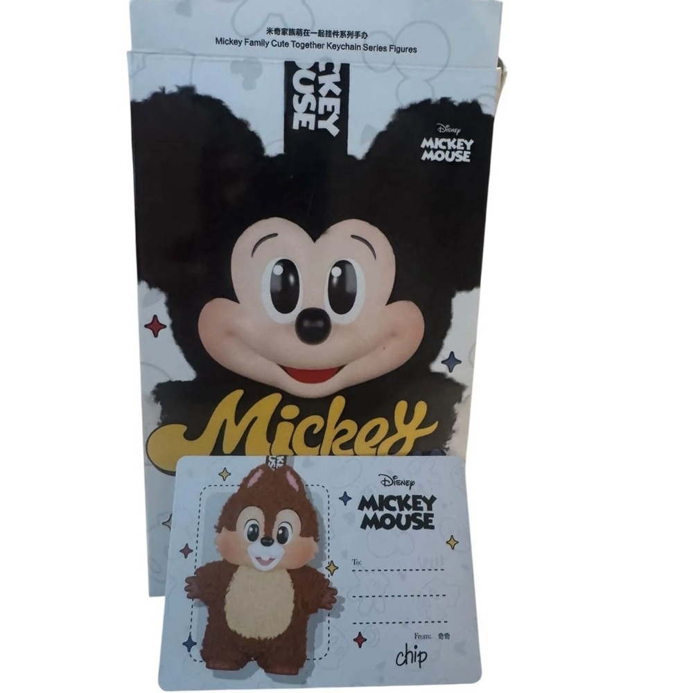 Mickey & Family Confirmed Box